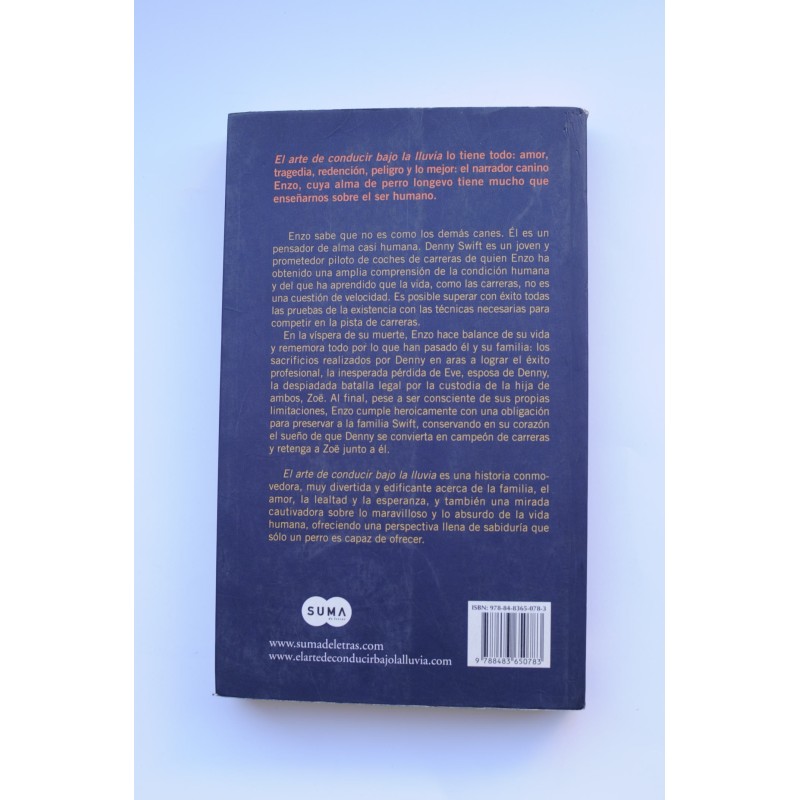 El arte de conducir bajo la lluvia