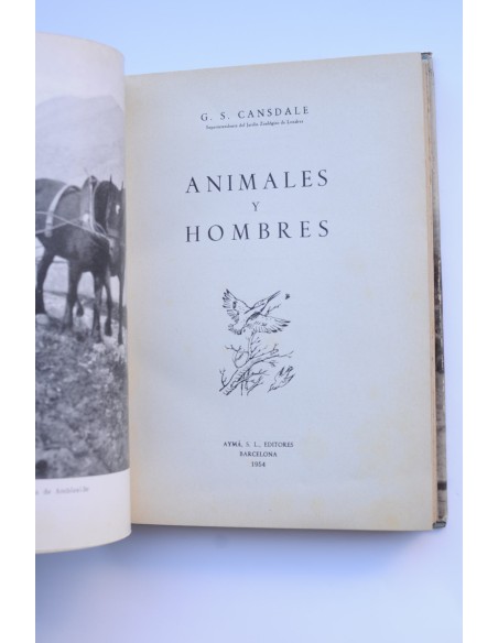 Animales y hombres