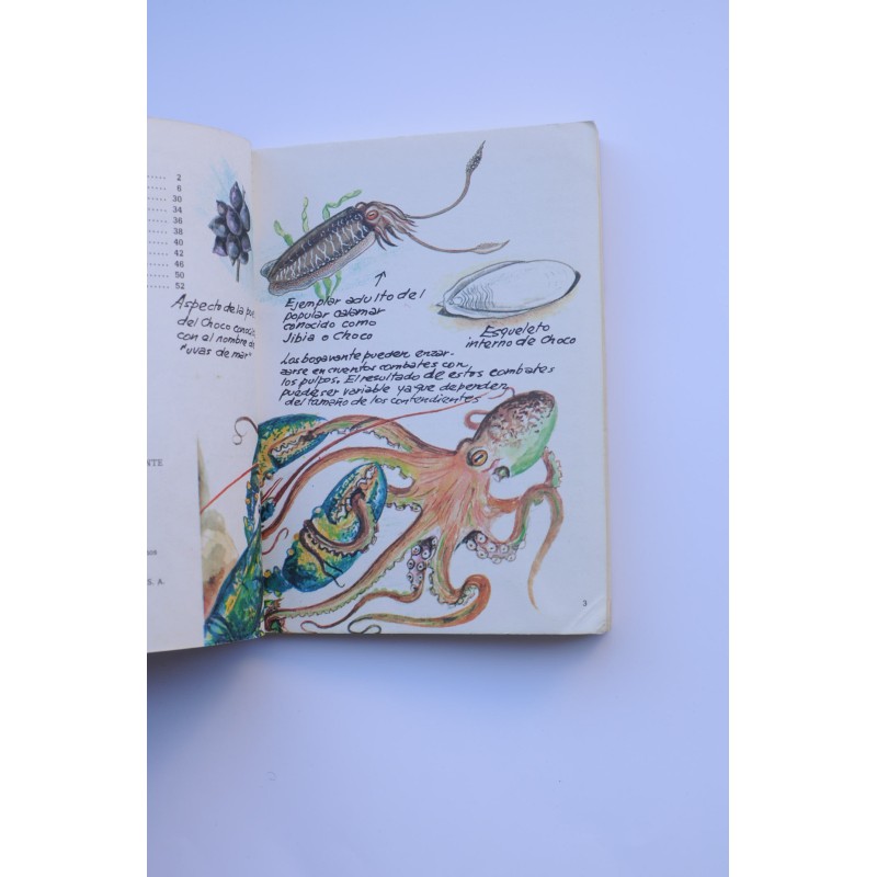 Cuadernos de campo. Invertebrados marinos