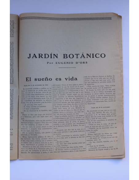 Jardín Botánico