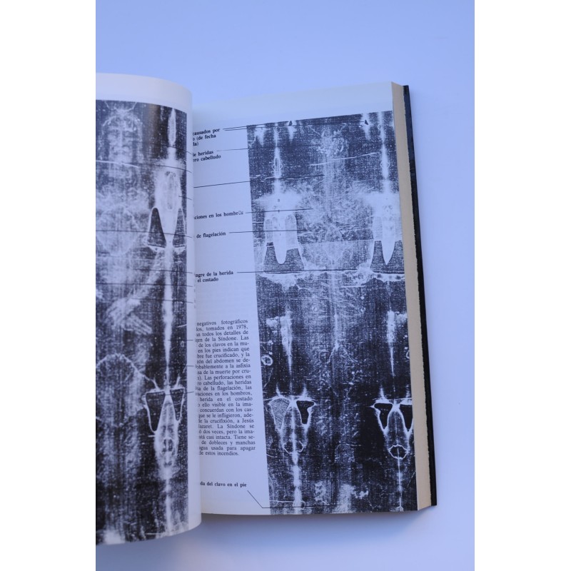 Dictamen sobre la Sábana de Cristo