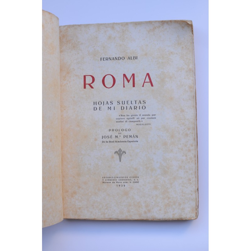Roma, hojas sueltas de mi diario