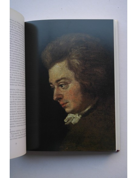 Mozart. Los años dorados, 1871-1791
