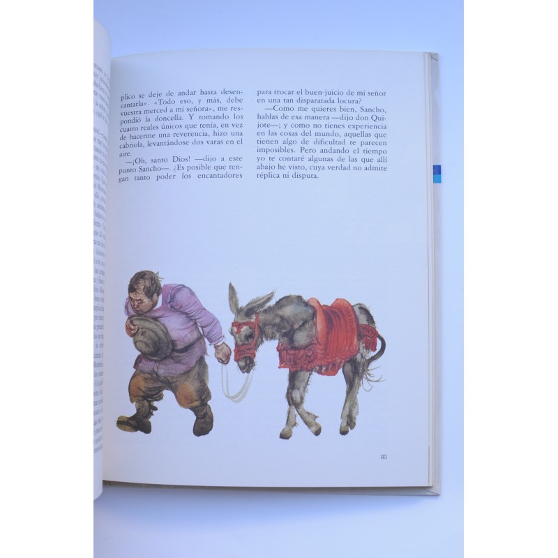 Don Quijote de la Mancha (adaptación para niños)