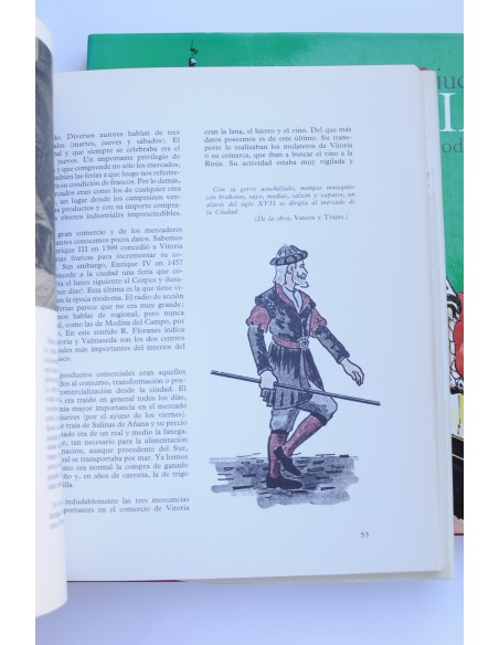 Vitoria : historia de una ciudad