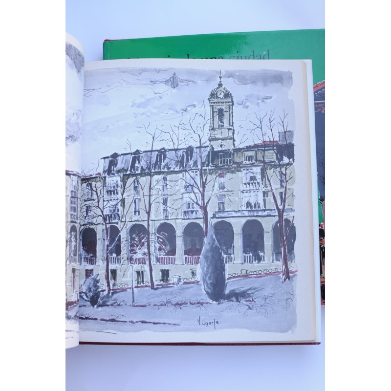 Vitoria : historia de una ciudad