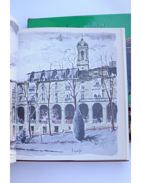 Vitoria : historia de una ciudad