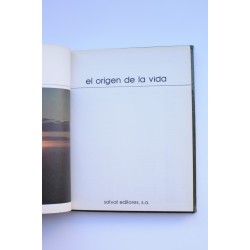 El origen de la vida 2