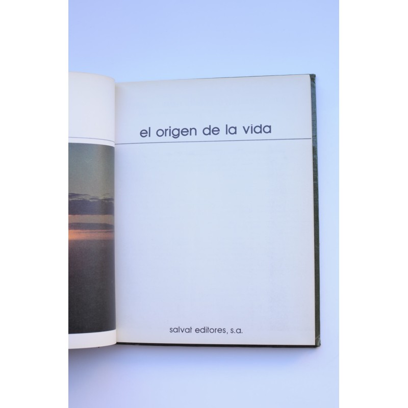 El origen de la vida