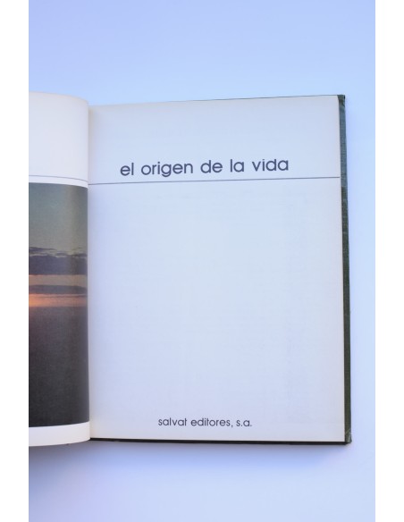 El origen de la vida