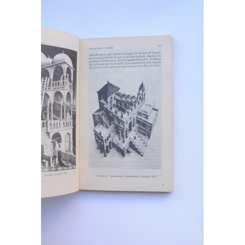 Carnaval matemático