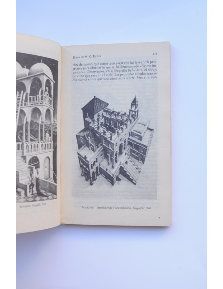 Carnaval matemático