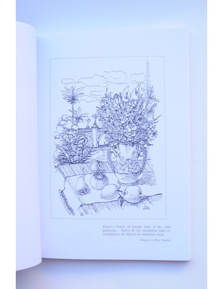 Querida y lejana Murcia. Curiosidades, anécdotas y extravagancias de una pequeña ciudad de provincias