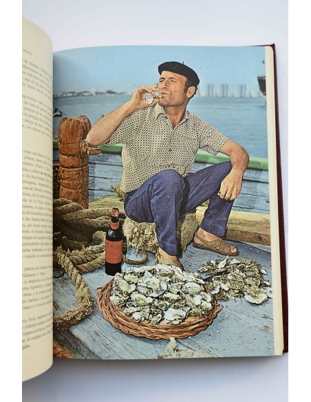 Los vinos de España 