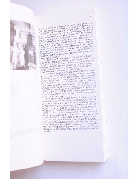 Historia y guía el Museo de Murcia. Sección de Bellas Artes