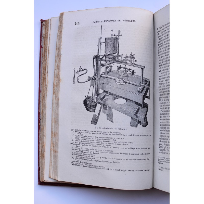 Tratado elemental de fisiología humana