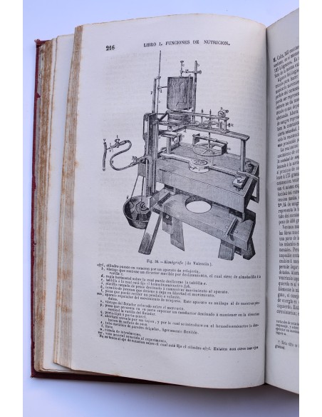 Tratado elemental de fisiología humana