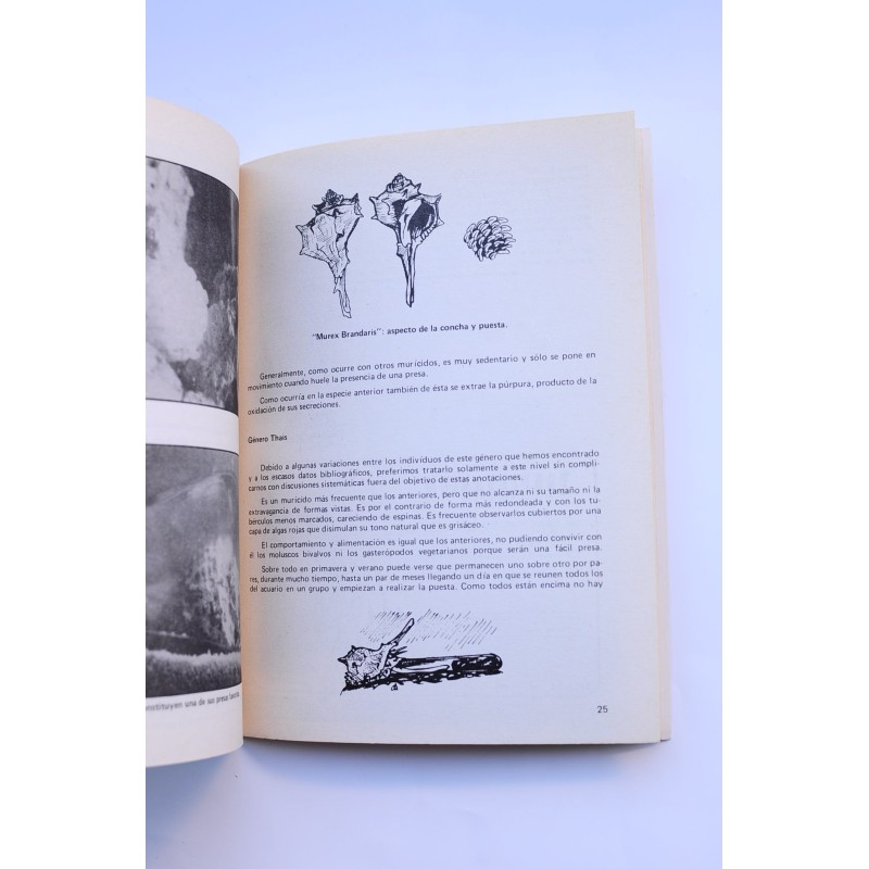 Mundo acuarófilo, nº 4. Segunda época, 1979