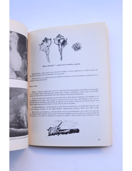 Mundo acuarófilo, nº 4. Segunda época, 1979