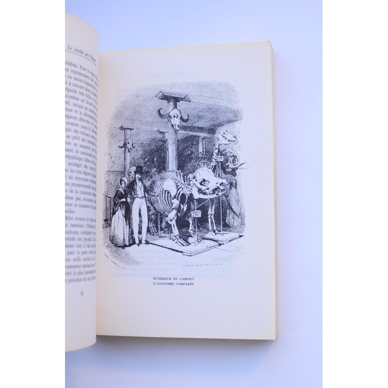 Le jardin des plantes