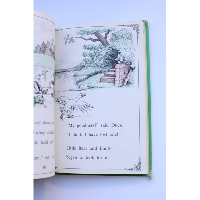 Little Bear's Friend