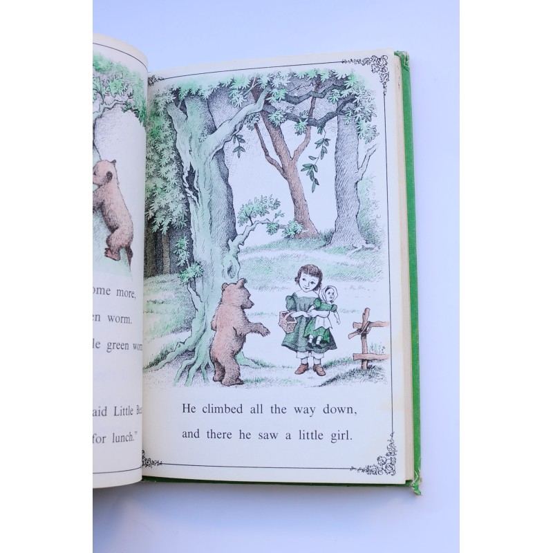 Little Bear's Friend