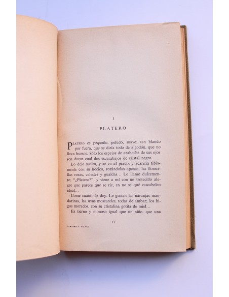 Platero y yo (1907-1916)