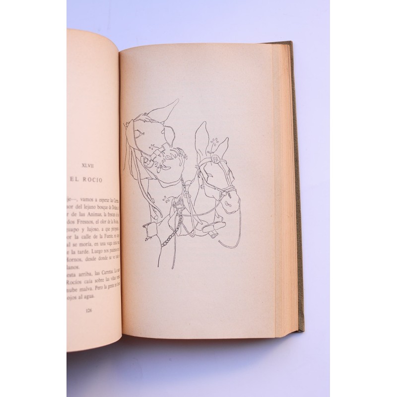 Platero y yo (1907-1916)