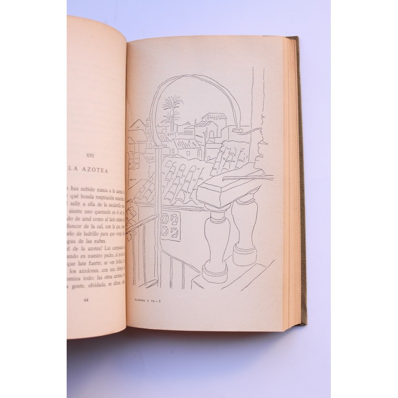Platero y yo (1907-1916)