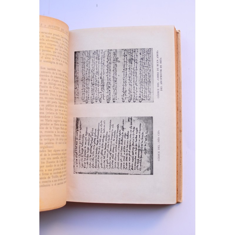 Historia de la literatura española e...