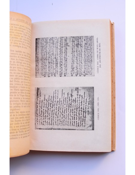 Historia de la literatura española e hispanoamericana