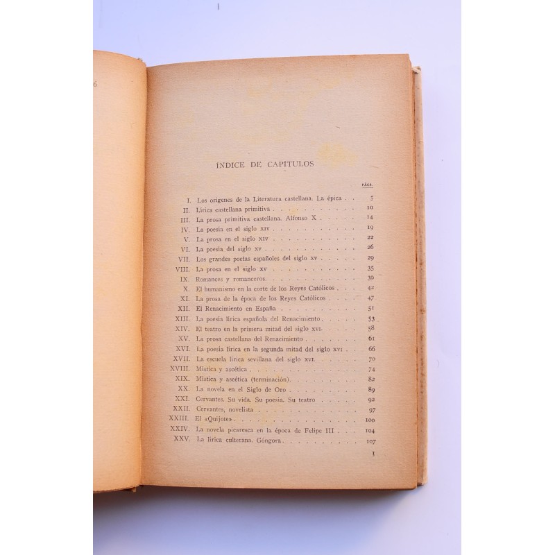 Historia de la literatura española e...