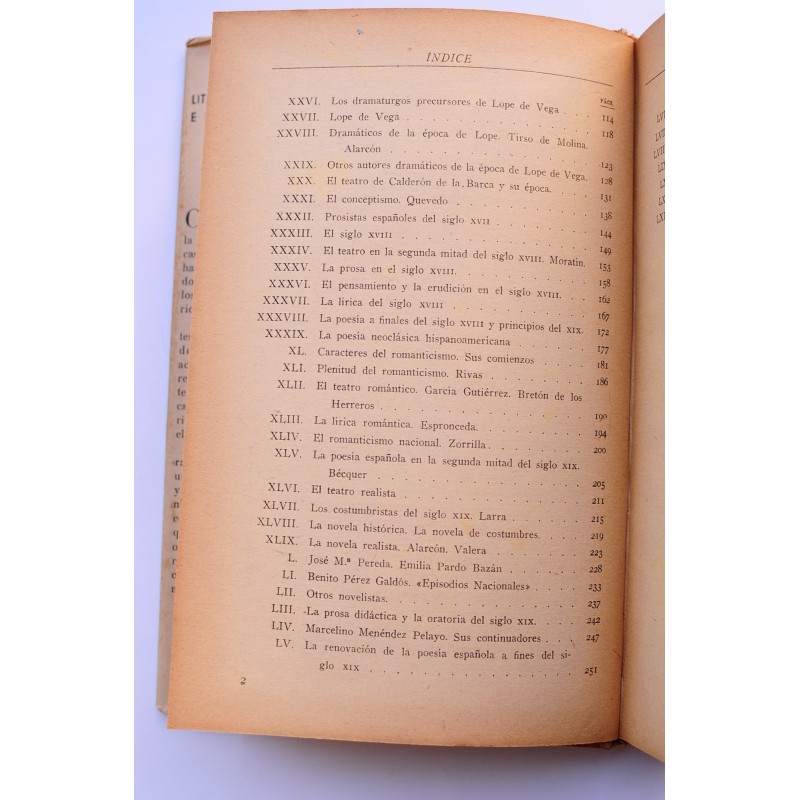 Historia de la literatura española e...