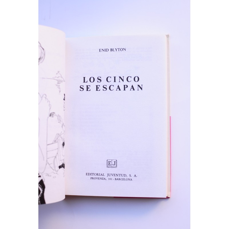 Los cinco se escapan