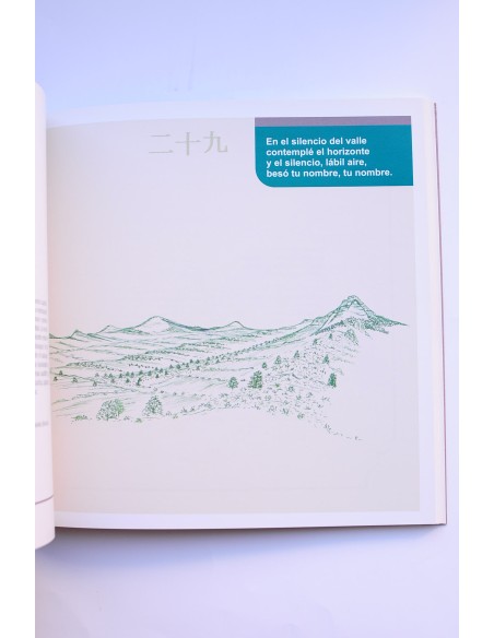 Poesía en el paisaje. 61 propuestas didácticas como invitación a la Literatura y al Dibujo