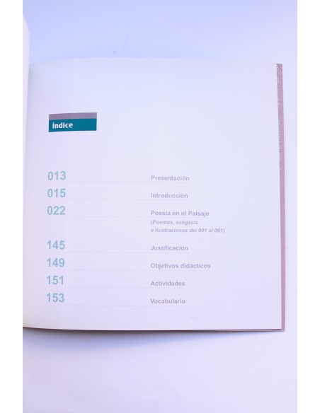 Poesía en el paisaje. 61 propuestas didácticas como invitación a la Literatura y al Dibujo
