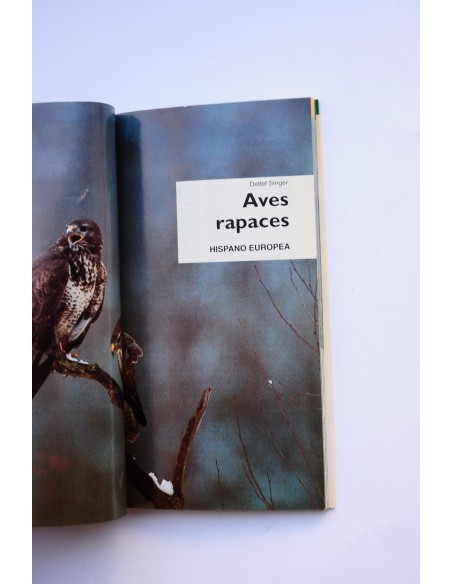 Aves rapaces