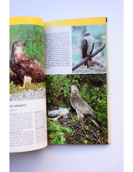 Aves rapaces