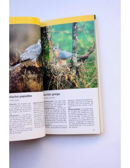 Aves rapaces