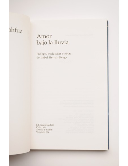 Amor bajo la lluvia