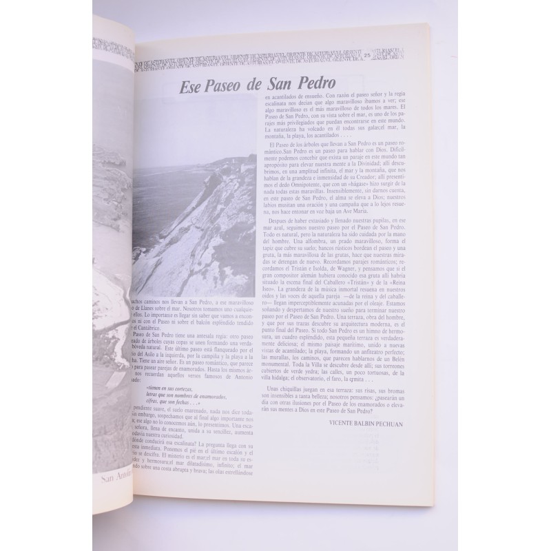 El Oriente de Asturias. Nº especial, junio 1987