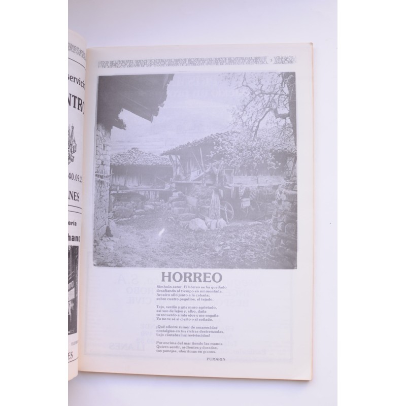 El Oriente de Asturias. Nº especial, junio 1983
