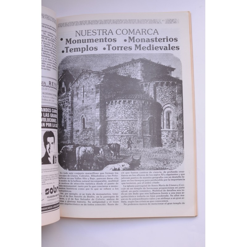 El Oriente de Asturias. Nº especial, junio 1983