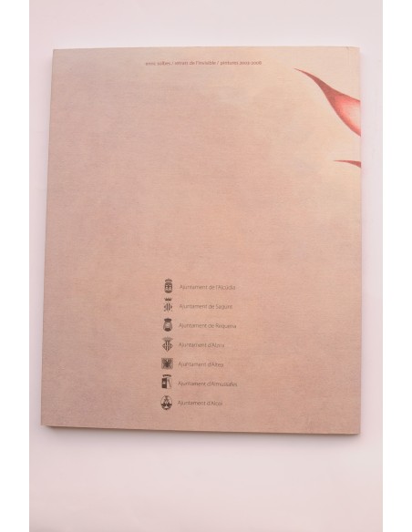Enric Solbes. Retrats de l'invisible : pintures 2003-2008