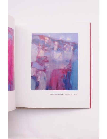 Vicente Ruiz, última obra, catálogo de exposiciones 2002