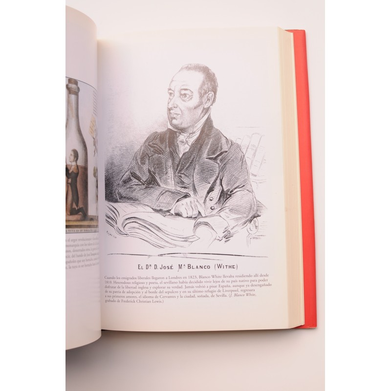 Los perdedores de la Historia de España