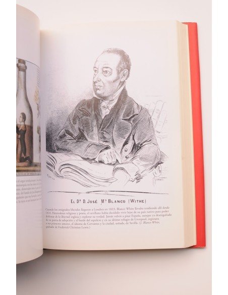 Los perdedores de la Historia de España