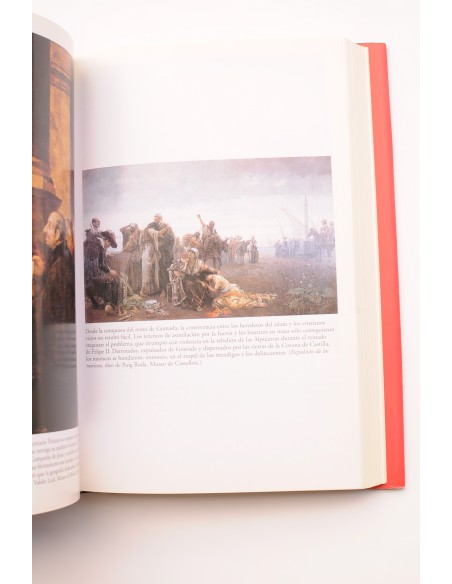 Los perdedores de la Historia de España