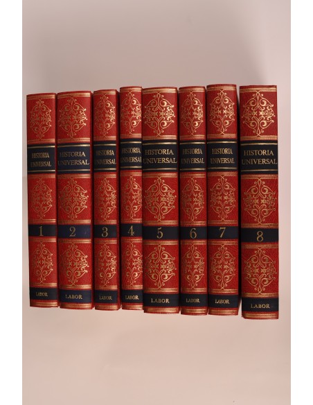 Historia Universal Labor