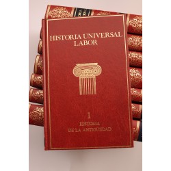 Historia Universal Labor 2